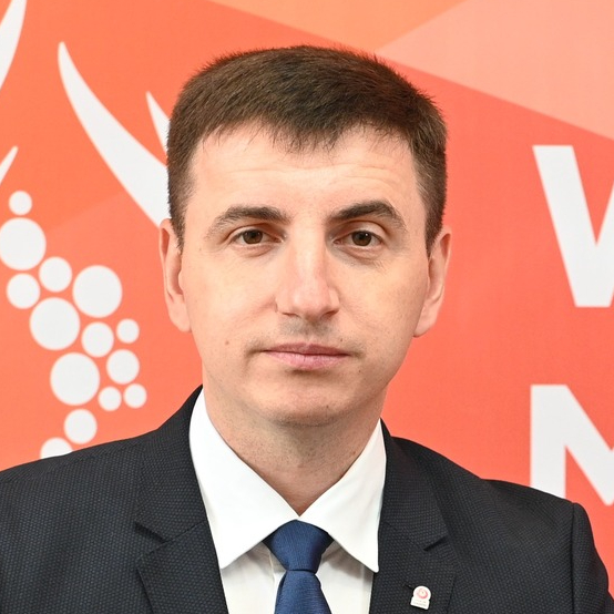 Ștefan Iamandi